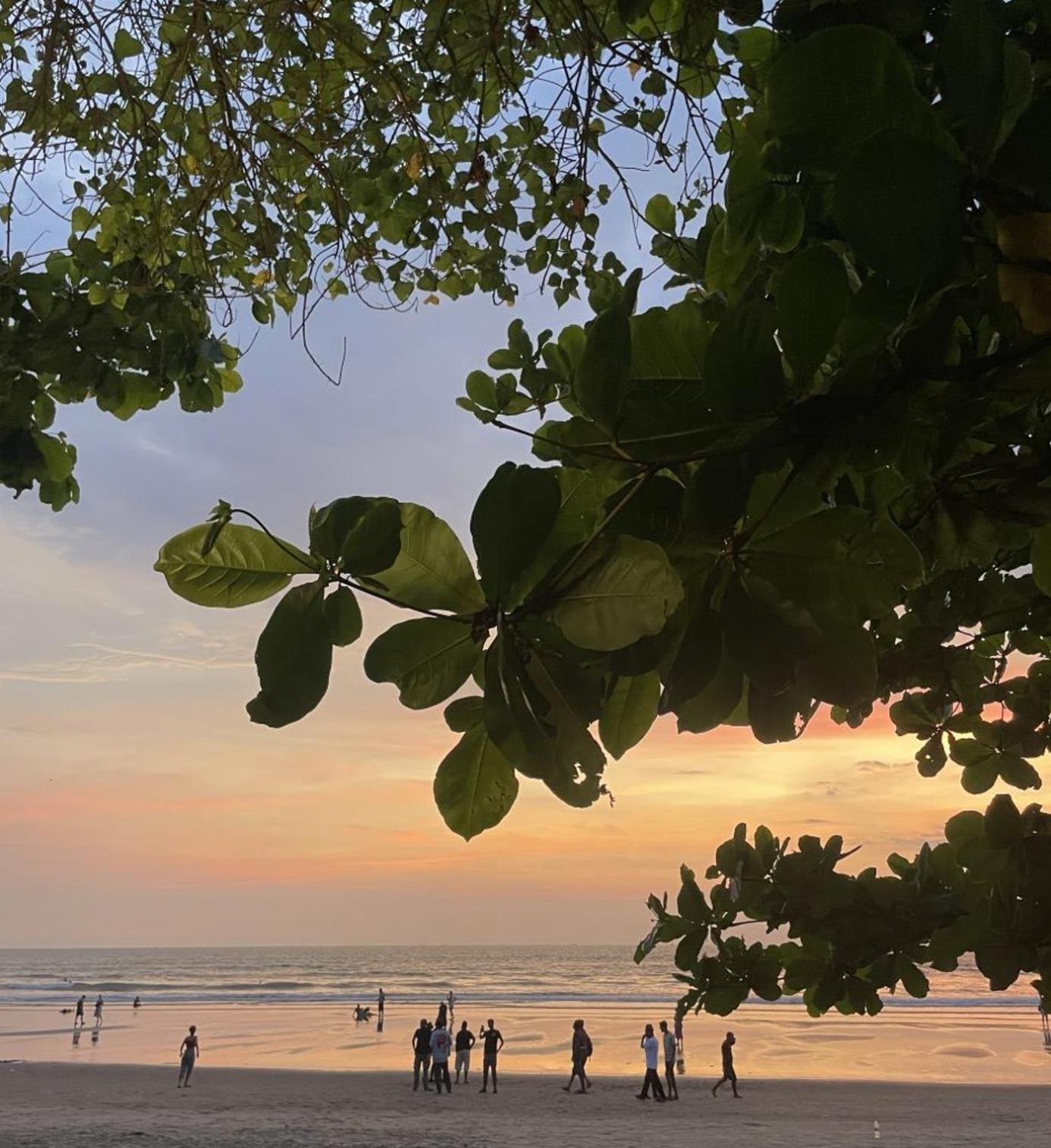 12 Monks - Beachside Hostel 阿姆波尔 外观 照片